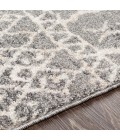 Surya Andorra ARD-2304 7 10 x 10  Rug