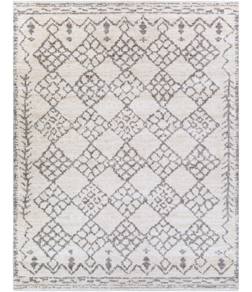 Livabliss Andorra ARD-2307 7 10 x 10  Rug