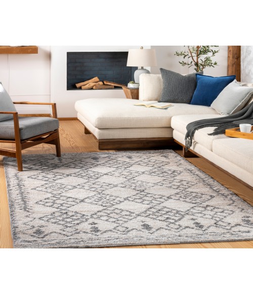 Livabliss Andorra ARD-2307 7 10 x 10  Rug