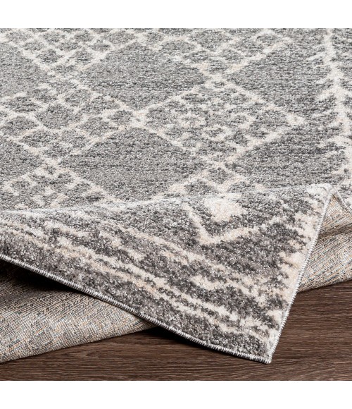 Livabliss Andorra ARD-2308 7 10 x 10  Rug