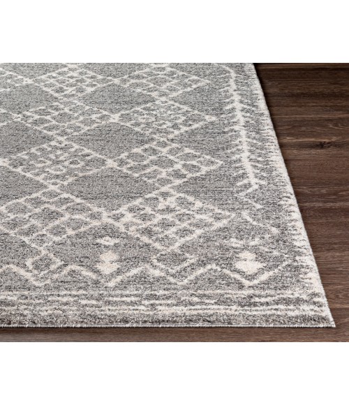 Livabliss Andorra ARD-2308 7 10 x 10  Rug