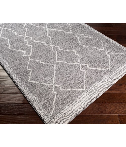 Livabliss Andorra ARD-2309 2  x 3  Rug