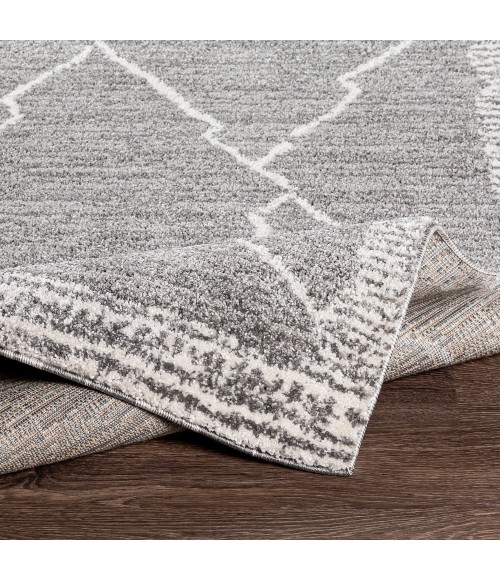 Livabliss Andorra ARD-2309 2  x 3  Rug