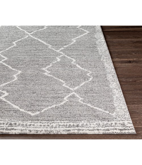Livabliss Andorra ARD-2309 2  x 3  Rug