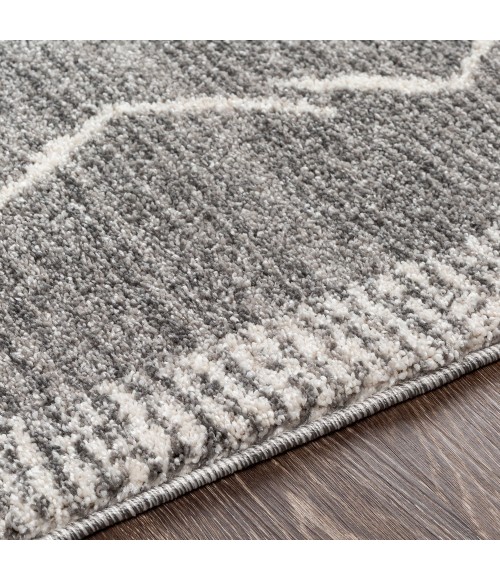 Livabliss Andorra ARD-2309 2  x 3  Rug