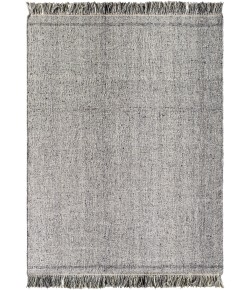 Surya Aarhus ARU2300 Taupe Pewter Area Rug 2 ft. X 3 ft. Rectangle