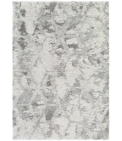 Surya Alta Shag ASG2302 Light Gray White Area Rug 5 ft. 3 in. X 7 ft. Rectangle