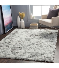 Surya Alta Shag ASG2302 Light Gray White Area Rug 5 ft. 3 in. X 7 ft. Rectangle