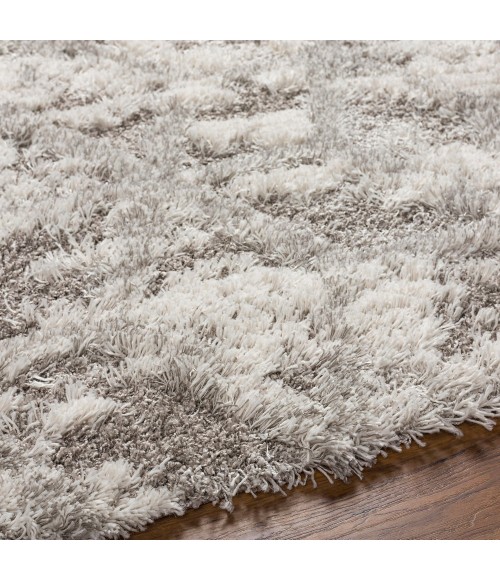 Surya Alta shag ASG-2302 5 3 x 7  Rug