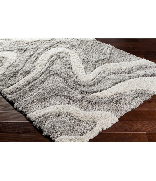 Livabliss Alta shag ASG-2303 7 10 x 10  Rug