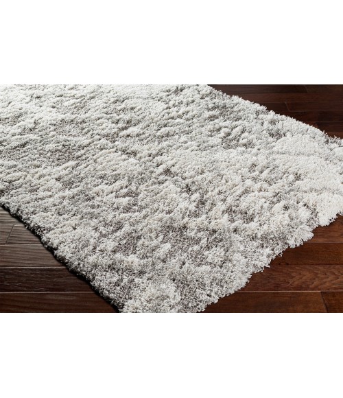 ALTA SHAG RUG Surya Alta shag ASG-2305 5 3 x 7 Rug