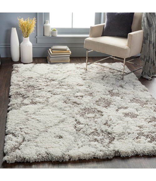 ALTA SHAG RUG Surya Alta shag ASG-2305 5 3 x 7 Rug