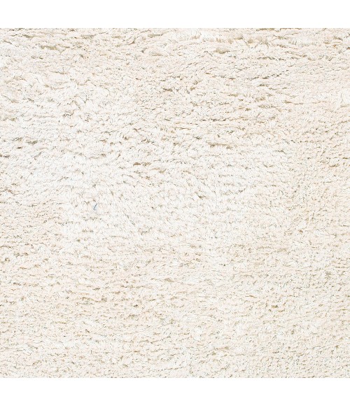 ASHTON RUG Surya Ashton ASH-1300-1014