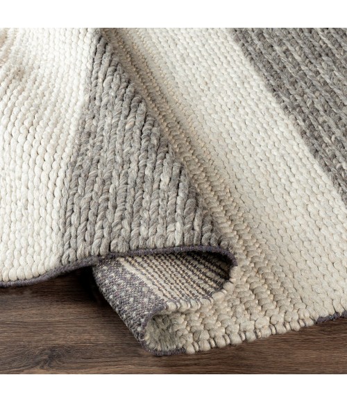Surya Asos ASS-2300 8  x 10  Rug