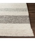 Surya Asos ASS-2300 8  x 10  Rug