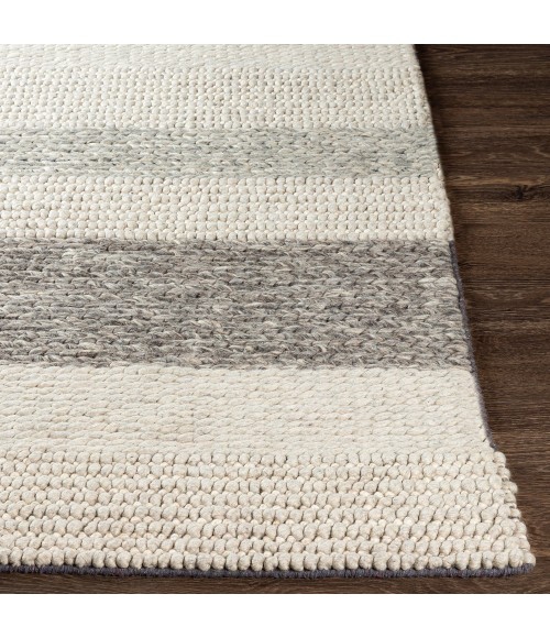 Surya Asos ASS-2300 8  x 10  Rug