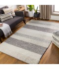 Surya Asos ASS-2300 8  x 10  Rug