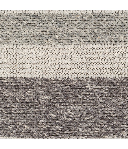 Surya Asos ASS-2300 8  x 10  Rug