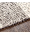Surya Asos ASS-2300 8  x 10  Rug