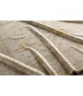 ANTIQUE RUG Surya Antique ATQ-1000-79x99 rug