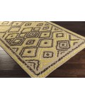 Surya Atlas ATS-1012-2x3 rug