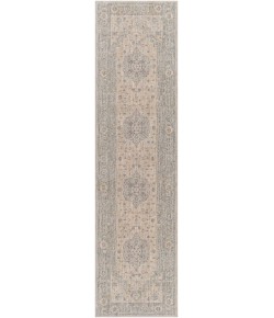 Surya Avant Garde AVT2302 Light Gray Medium Gray Area Rug 2 ft. 7 in. X 10 ft. Runner