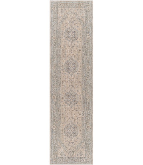 Surya Avant garde AVT-2302 2 7 x 10  Rug