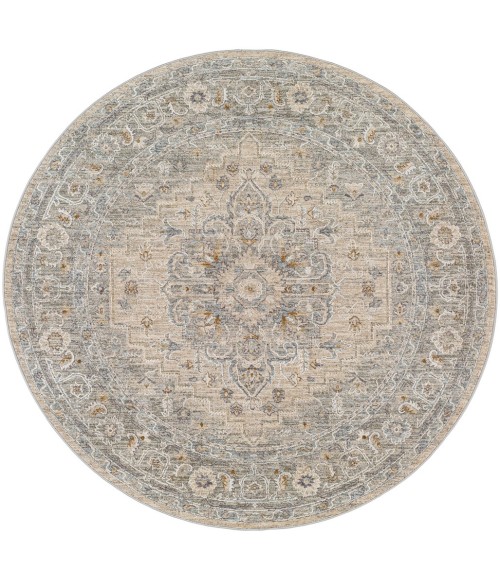 Surya Avant Garde AVT-2302 5'3 Round Rug