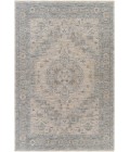 Surya Avant garde AVT-2302 2 7 x 10  Rug