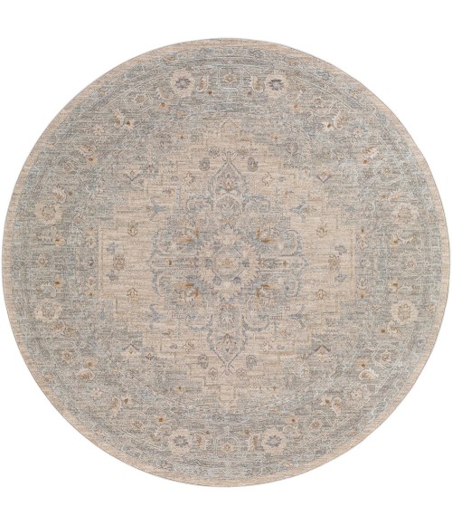 Surya Avant Garde AVT-2302 6'7 Round Rug