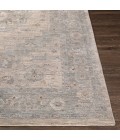 Surya Avant garde AVT-2302 6 7 x 9 6 Rug