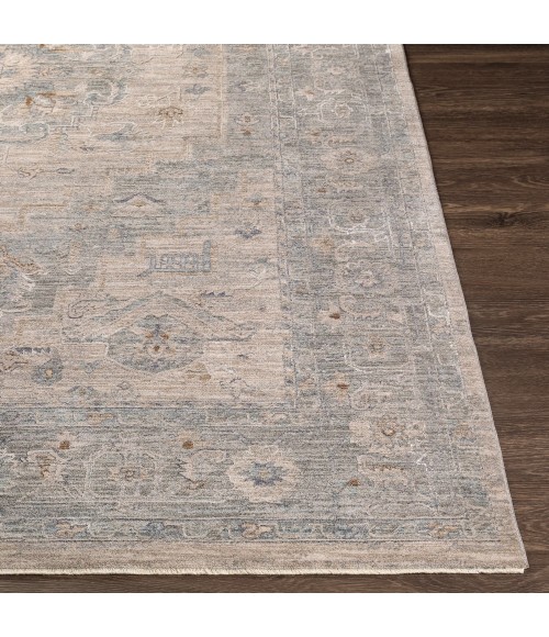 Surya Avant garde AVT-2302 2 7 x 10  Rug