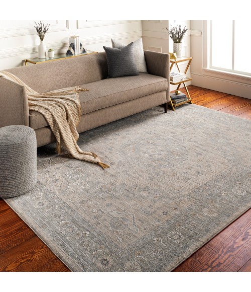 Surya Avant garde AVT-2302 6 7 x 9 6 Rug