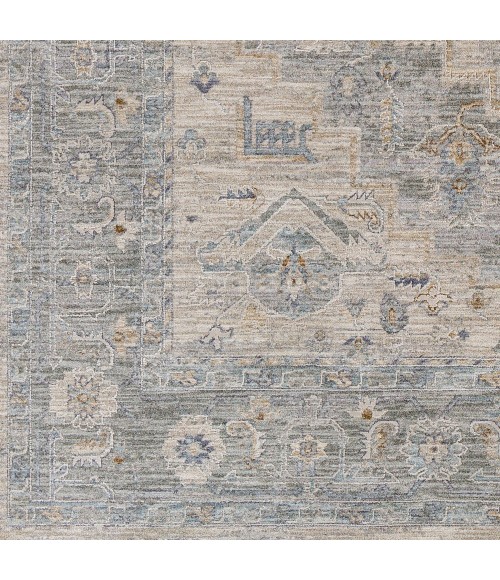 Surya Avant garde AVT-2302 6 7 x 9 6 Rug