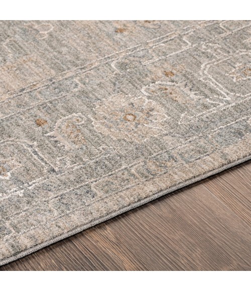 Surya Avant garde AVT-2302 2 7 x 10  Rug