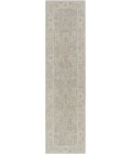Surya Avant garde AVT-2304 2 7 x 10  Rug