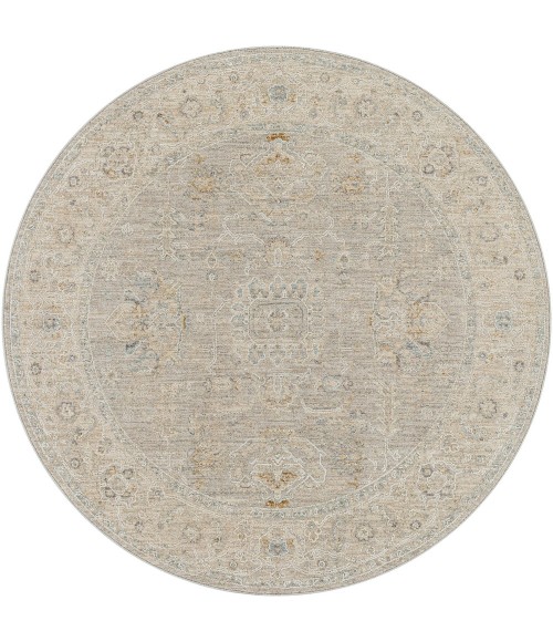 Surya Avant garde AVT-2304 2  x 3  Rug