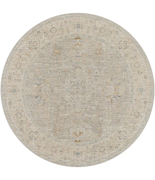 Surya Avant garde AVT-2304 10  x 14  Rug