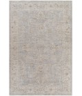 Surya Avant garde AVT-2304 10  x 14  Rug