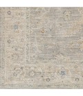 Surya Avant garde AVT-2304 10  x 14  Rug