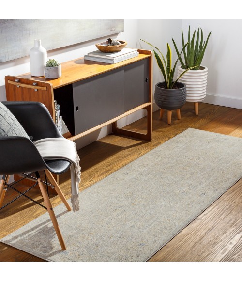 Surya Avant garde AVT-2304 2 7 x 7 3 Rug