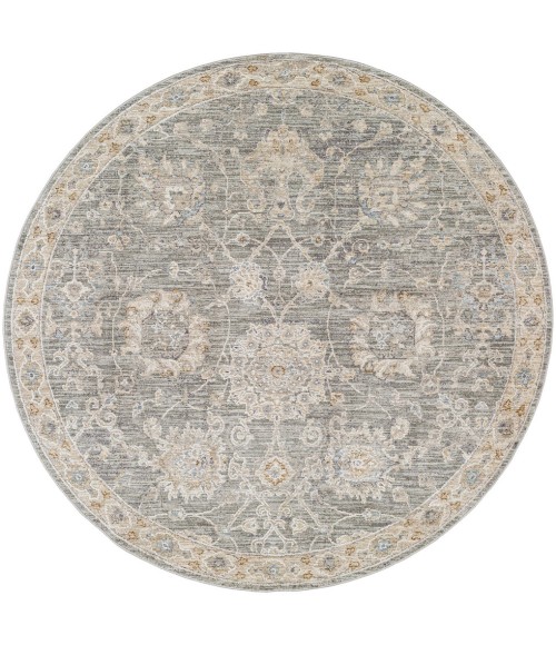 Livabliss Avant garde AVT-2305 2  x 3  Rug