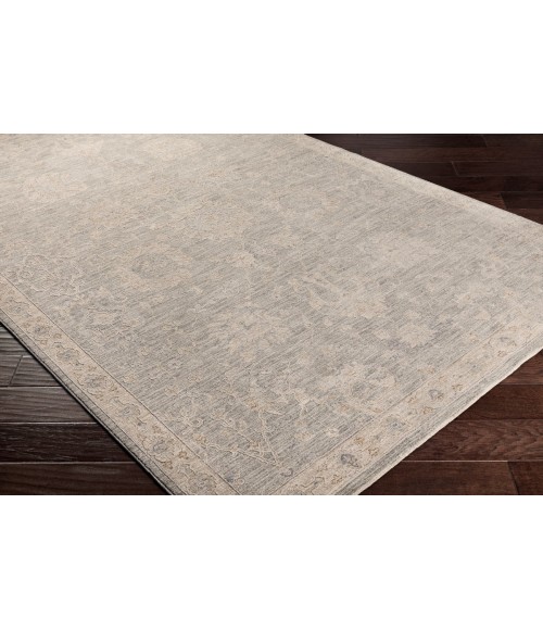 Surya Avant garde AVT-2305 2 7 x 10  Rug