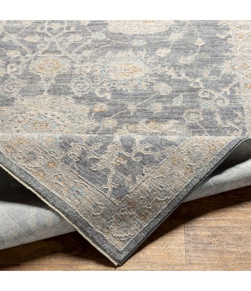 Surya Avant garde AVT-2306 2 7 x 10  Rug