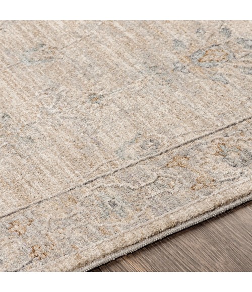 Surya Avant garde AVT-2307 10  x 14  Rug