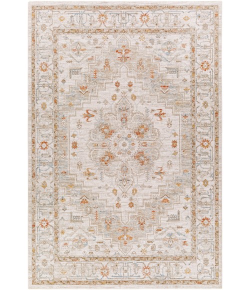 Surya Avant Garde AVT-2313 2' x 3' Rug