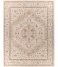 Surya Avant Garde AVT-2313 7'10 x 10'3 Rug