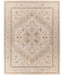 Livabliss Avant Garde AVT2313 Sage Olive Area Rug 7 ft. 10 in. X 10 ft. 3 in. Rectangle