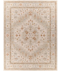 Surya Avant Garde AVT2313 Sage Olive Area Rug 7 ft. 10 in. X 10 ft. 3 in. Rectangle