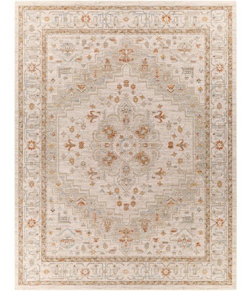 Surya Avant Garde AVT-2313 7'10 x 10'3 Rug